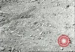 Image of soybean cultivation Harbin Manchukuo Manchuria China, 1928, second 58 stock footage video 65675066282