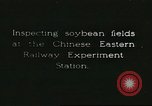 Image of soybean cultivation Harbin Manchukuo Manchuria China, 1928, second 1 stock footage video 65675066283