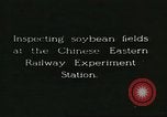 Image of soybean cultivation Harbin Manchukuo Manchuria China, 1928, second 3 stock footage video 65675066283