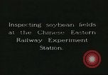 Image of soybean cultivation Harbin Manchukuo Manchuria China, 1928, second 5 stock footage video 65675066283
