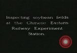 Image of soybean cultivation Harbin Manchukuo Manchuria China, 1928, second 6 stock footage video 65675066283