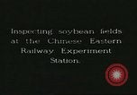 Image of soybean cultivation Harbin Manchukuo Manchuria China, 1928, second 7 stock footage video 65675066283