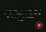 Image of soybean cultivation Harbin Manchukuo Manchuria China, 1928, second 8 stock footage video 65675066283