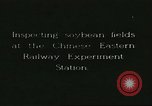 Image of soybean cultivation Harbin Manchukuo Manchuria China, 1928, second 9 stock footage video 65675066283