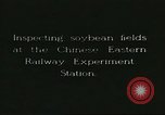 Image of soybean cultivation Harbin Manchukuo Manchuria China, 1928, second 10 stock footage video 65675066283