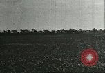 Image of soybean cultivation Harbin Manchukuo Manchuria China, 1928, second 11 stock footage video 65675066283