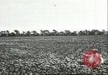 Image of soybean cultivation Harbin Manchukuo Manchuria China, 1928, second 33 stock footage video 65675066283