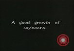 Image of soybean cultivation Harbin Manchukuo Manchuria China, 1928, second 38 stock footage video 65675066283