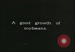 Image of soybean cultivation Harbin Manchukuo Manchuria China, 1928, second 39 stock footage video 65675066283