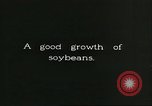 Image of soybean cultivation Harbin Manchukuo Manchuria China, 1928, second 42 stock footage video 65675066283