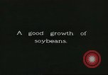Image of soybean cultivation Harbin Manchukuo Manchuria China, 1928, second 43 stock footage video 65675066283
