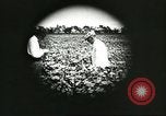 Image of soybean cultivation Harbin Manchukuo Manchuria China, 1928, second 44 stock footage video 65675066283
