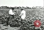 Image of soybean cultivation Harbin Manchukuo Manchuria China, 1928, second 54 stock footage video 65675066283