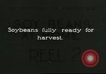 Image of soybean cultivation Harbin Manchukuo Manchuria China, 1928, second 1 stock footage video 65675066284