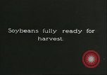 Image of soybean cultivation Harbin Manchukuo Manchuria China, 1928, second 3 stock footage video 65675066284