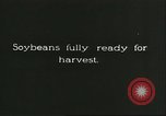 Image of soybean cultivation Harbin Manchukuo Manchuria China, 1928, second 5 stock footage video 65675066284