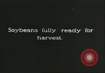 Image of soybean cultivation Harbin Manchukuo Manchuria China, 1928, second 6 stock footage video 65675066284