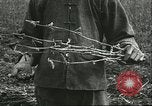 Image of soybean cultivation Harbin Manchukuo Manchuria China, 1928, second 8 stock footage video 65675066284