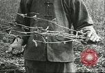 Image of soybean cultivation Harbin Manchukuo Manchuria China, 1928, second 9 stock footage video 65675066284