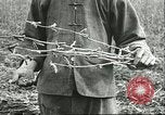 Image of soybean cultivation Harbin Manchukuo Manchuria China, 1928, second 10 stock footage video 65675066284