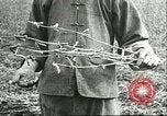 Image of soybean cultivation Harbin Manchukuo Manchuria China, 1928, second 11 stock footage video 65675066284