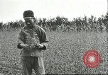 Image of soybean cultivation Harbin Manchukuo Manchuria China, 1928, second 22 stock footage video 65675066284