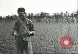 Image of soybean cultivation Harbin Manchukuo Manchuria China, 1928, second 23 stock footage video 65675066284