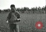 Image of soybean cultivation Harbin Manchukuo Manchuria China, 1928, second 24 stock footage video 65675066284