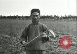 Image of soybean cultivation Harbin Manchukuo Manchuria China, 1928, second 41 stock footage video 65675066284