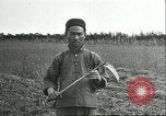 Image of soybean cultivation Harbin Manchukuo Manchuria China, 1928, second 43 stock footage video 65675066284