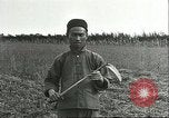 Image of soybean cultivation Harbin Manchukuo Manchuria China, 1928, second 44 stock footage video 65675066284