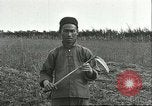 Image of soybean cultivation Harbin Manchukuo Manchuria China, 1928, second 46 stock footage video 65675066284