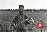 Image of soybean cultivation Harbin Manchukuo Manchuria China, 1928, second 47 stock footage video 65675066284
