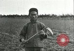 Image of soybean cultivation Harbin Manchukuo Manchuria China, 1928, second 48 stock footage video 65675066284