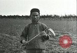 Image of soybean cultivation Harbin Manchukuo Manchuria China, 1928, second 50 stock footage video 65675066284