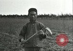Image of soybean cultivation Harbin Manchukuo Manchuria China, 1928, second 51 stock footage video 65675066284