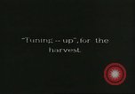Image of soybean cultivation Harbin Manchukuo Manchuria China, 1928, second 58 stock footage video 65675066284