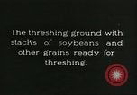 Image of soybean cultivation Harbin Manchukuo Manchuria China, 1928, second 5 stock footage video 65675066285