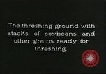 Image of soybean cultivation Harbin Manchukuo Manchuria China, 1928, second 6 stock footage video 65675066285