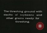 Image of soybean cultivation Harbin Manchukuo Manchuria China, 1928, second 7 stock footage video 65675066285