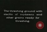 Image of soybean cultivation Harbin Manchukuo Manchuria China, 1928, second 9 stock footage video 65675066285