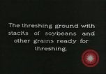 Image of soybean cultivation Harbin Manchukuo Manchuria China, 1928, second 12 stock footage video 65675066285