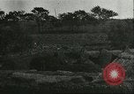 Image of soybean cultivation Harbin Manchukuo Manchuria China, 1928, second 14 stock footage video 65675066285