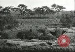 Image of soybean cultivation Harbin Manchukuo Manchuria China, 1928, second 15 stock footage video 65675066285