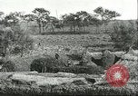 Image of soybean cultivation Harbin Manchukuo Manchuria China, 1928, second 16 stock footage video 65675066285