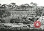 Image of soybean cultivation Harbin Manchukuo Manchuria China, 1928, second 17 stock footage video 65675066285