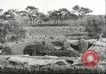 Image of soybean cultivation Harbin Manchukuo Manchuria China, 1928, second 18 stock footage video 65675066285