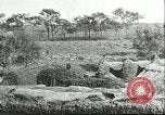 Image of soybean cultivation Harbin Manchukuo Manchuria China, 1928, second 19 stock footage video 65675066285