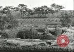 Image of soybean cultivation Harbin Manchukuo Manchuria China, 1928, second 20 stock footage video 65675066285