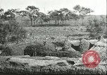 Image of soybean cultivation Harbin Manchukuo Manchuria China, 1928, second 21 stock footage video 65675066285